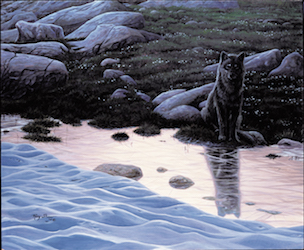Dawn Reflection by Ray Shaw