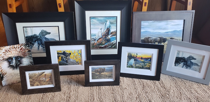 Variety of framed prints by Ray Shaw
