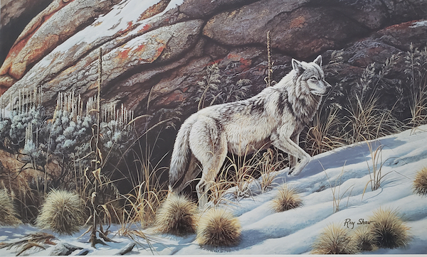 painting of a wolve with two hidden wolves