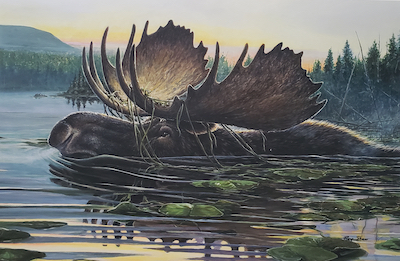 painting of a moose swimming in a lake at dawn