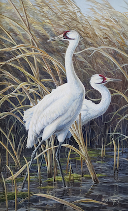 painting of whooping cranes titled Wetlands
                      Guests