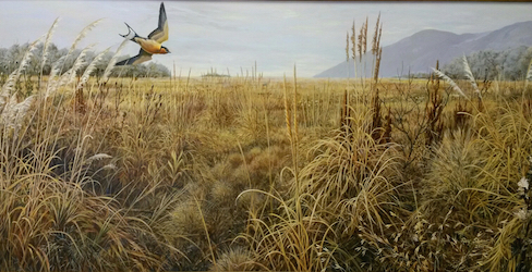 Fields of Gold painting by Ray Shaw