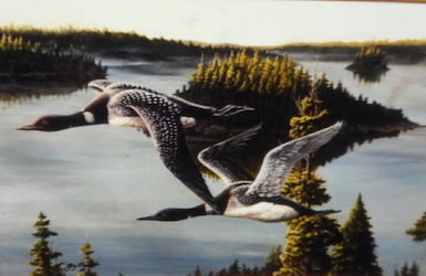 Loons Aloft painting by Ray Shaw
